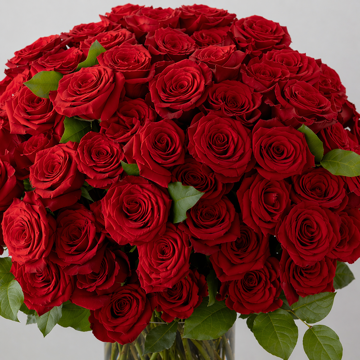 100 Premium Roses in a Vase — Luxury Rose Arrangement