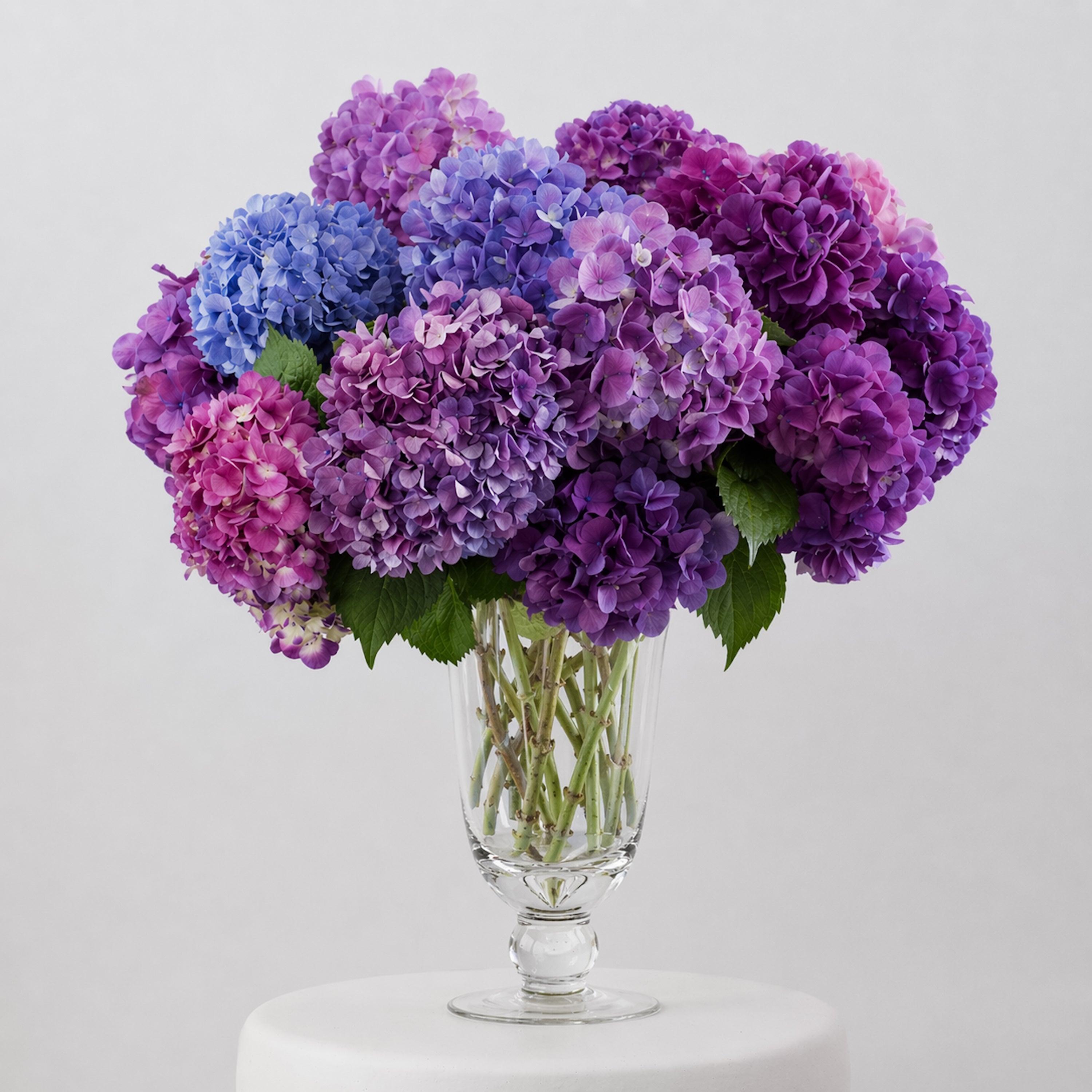 Maison Hydrangea — Violet