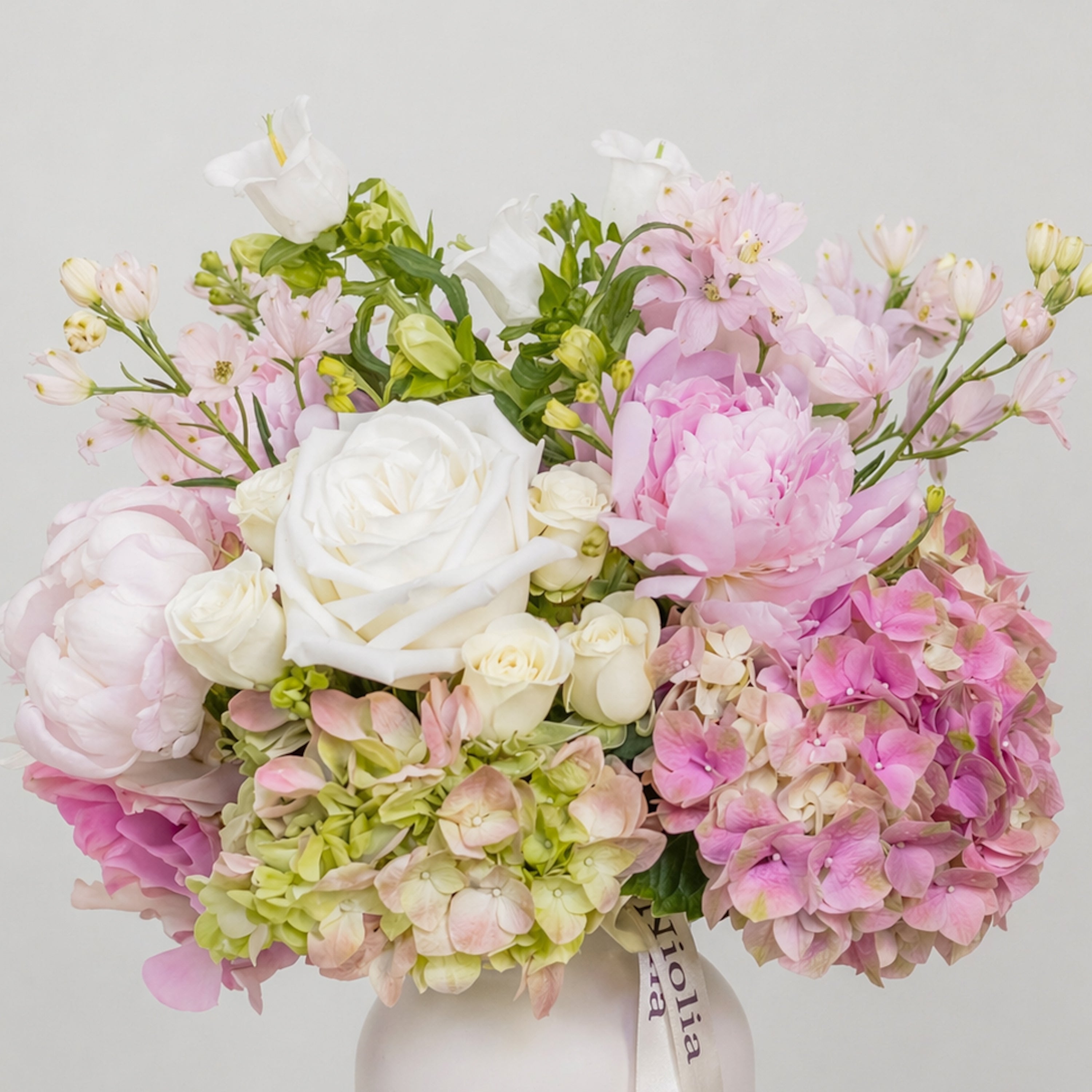 Peony Lullaby