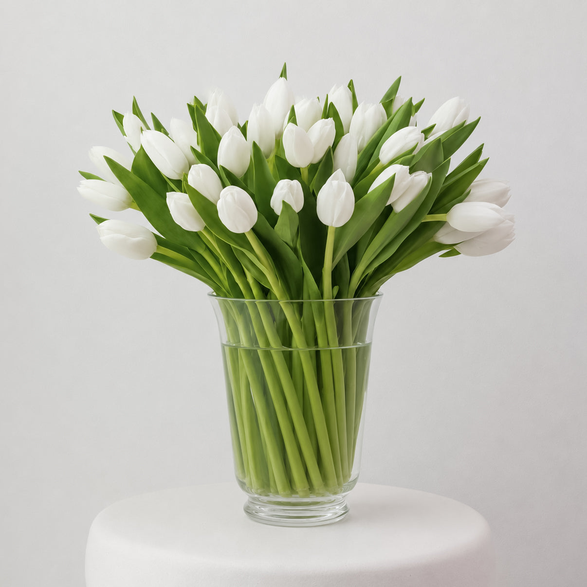 Maison Tulips in White