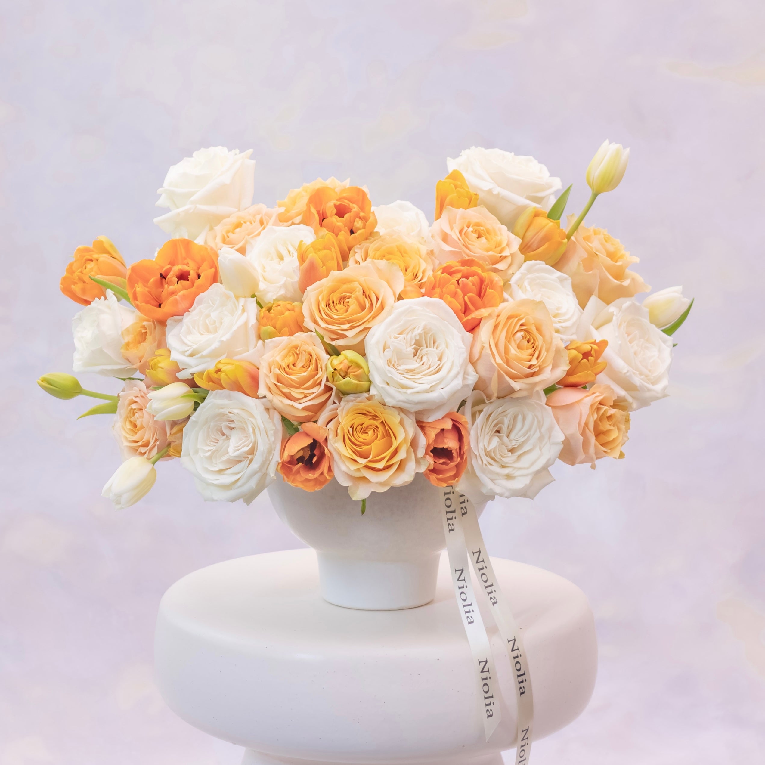 Img 9028 a7500fcb f053 4cf2 8233 8b008be18bbb