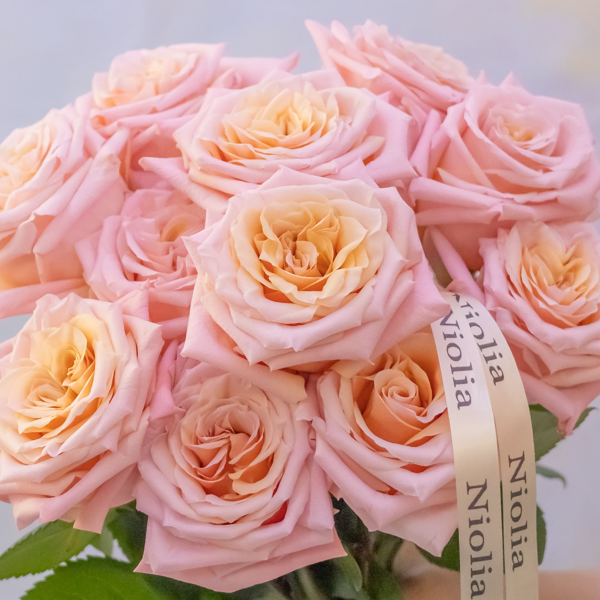 Peach Roses Bouquet + Vase