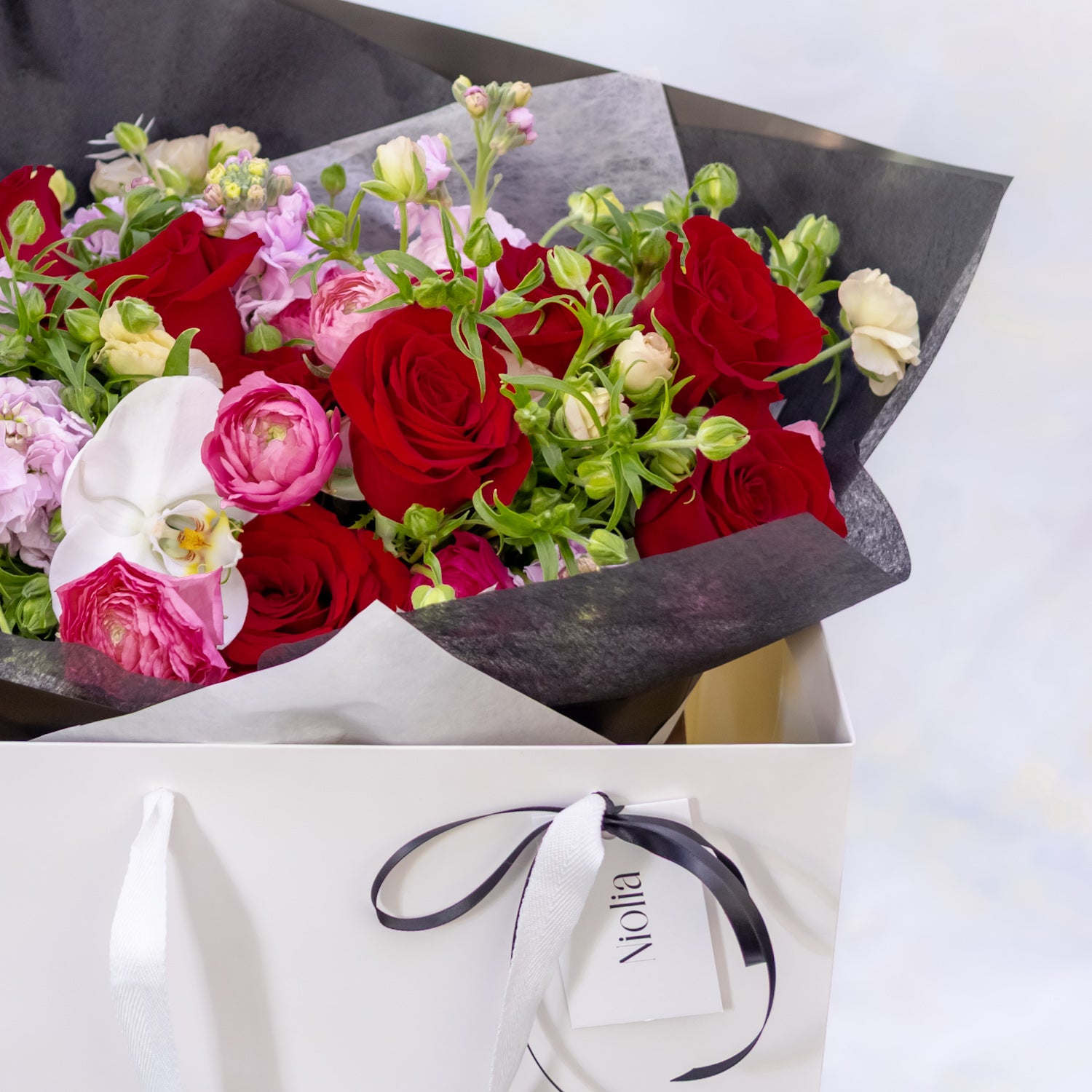 Img 9100 d370aa85 d28f 46b2 bbc3 f208db665d2d