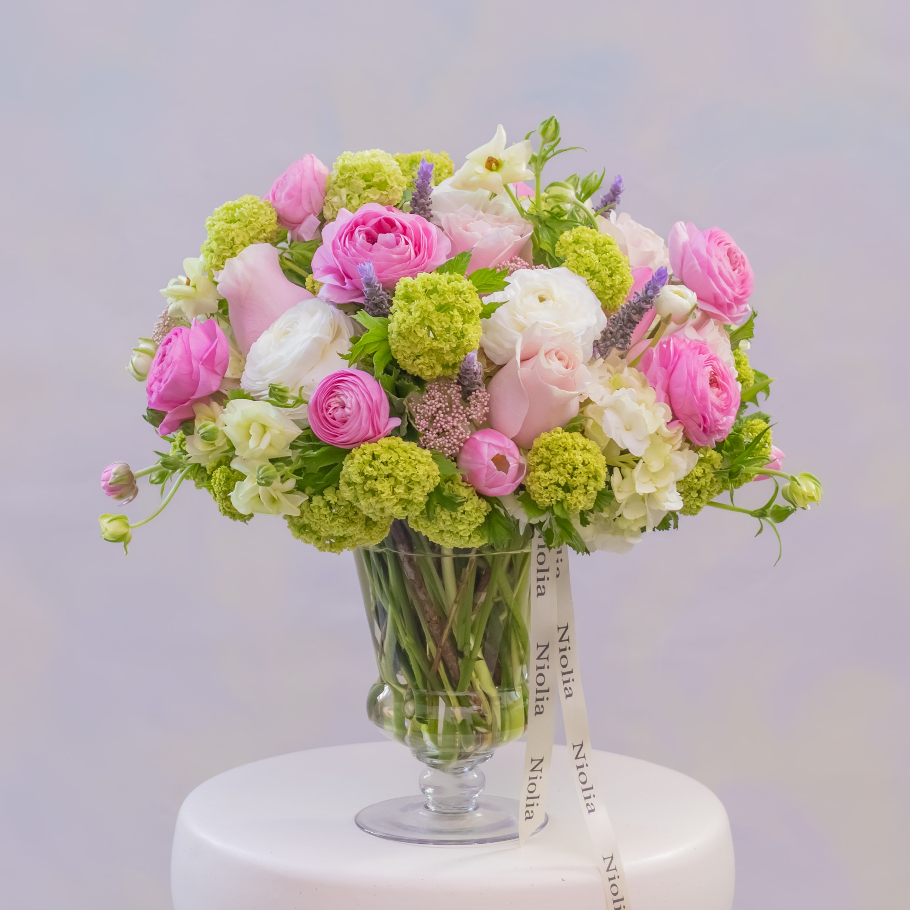 Img 9208 dd2b9e3c 4791 4257 bbc2 265eebc870dc