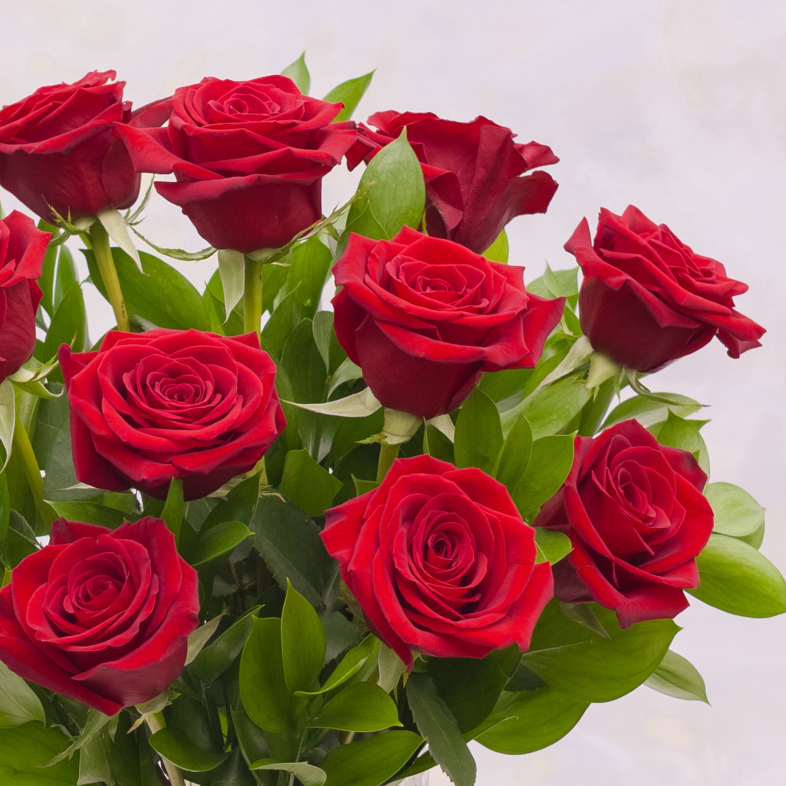 Classic One Dozen Red Roses in a Vase
