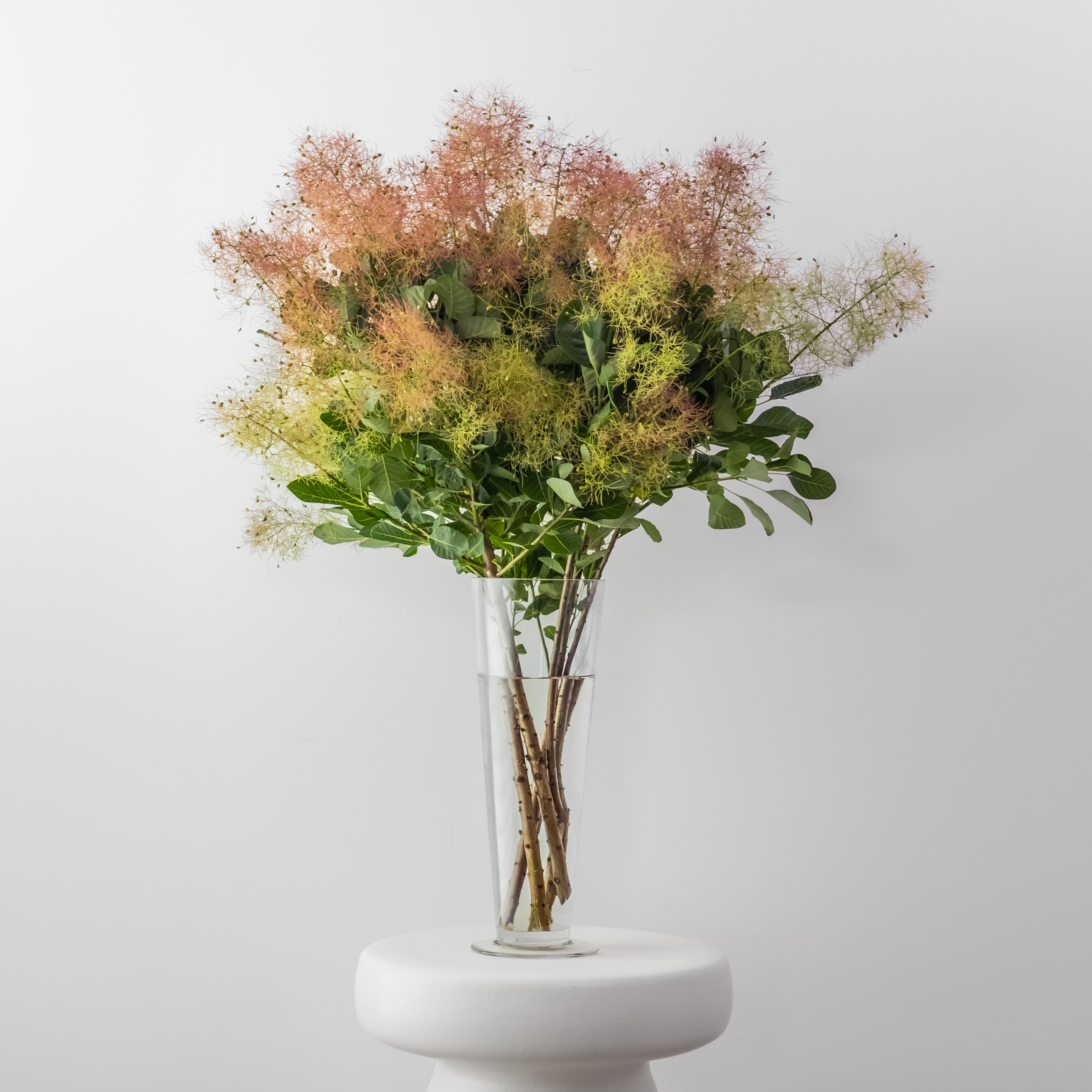 Living with Flowers: Bringing the Seasons Indoors
