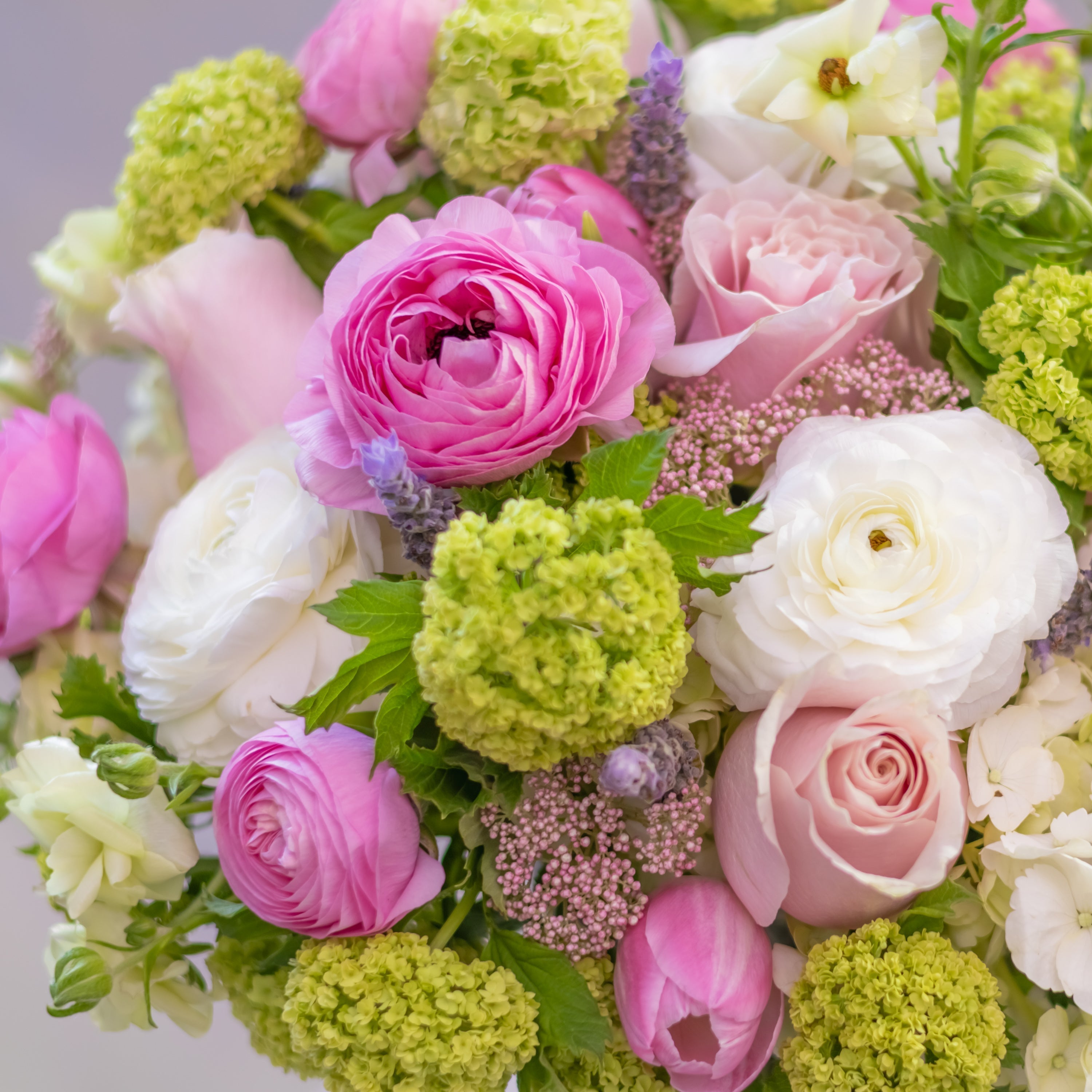 Kyoto in Bloom — Spring Flowers, Celebrations, and Seasonal Gifting in San Francisco