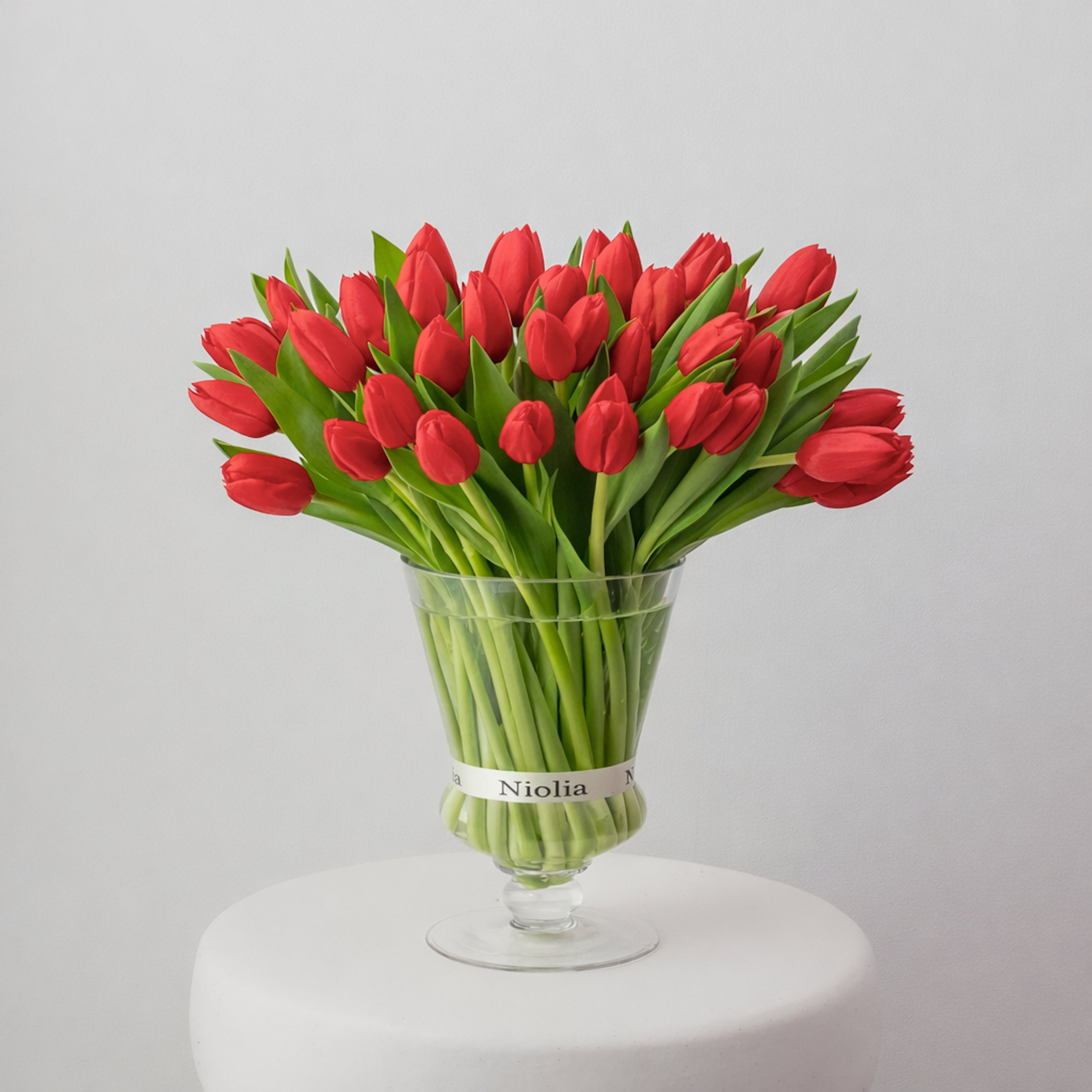Maison Tulips in Red