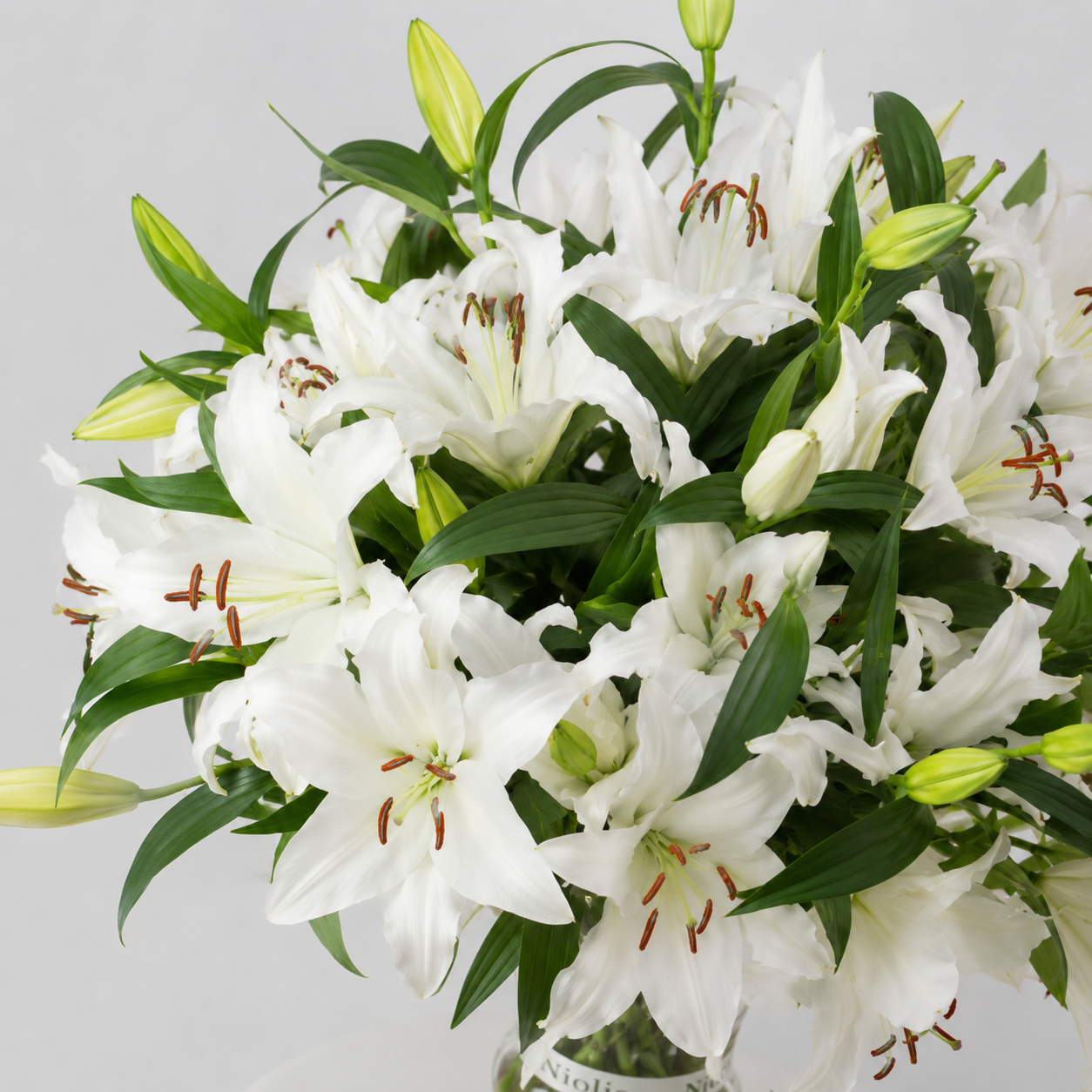 Maison Lilies — White