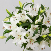 Maison Lilies — White
