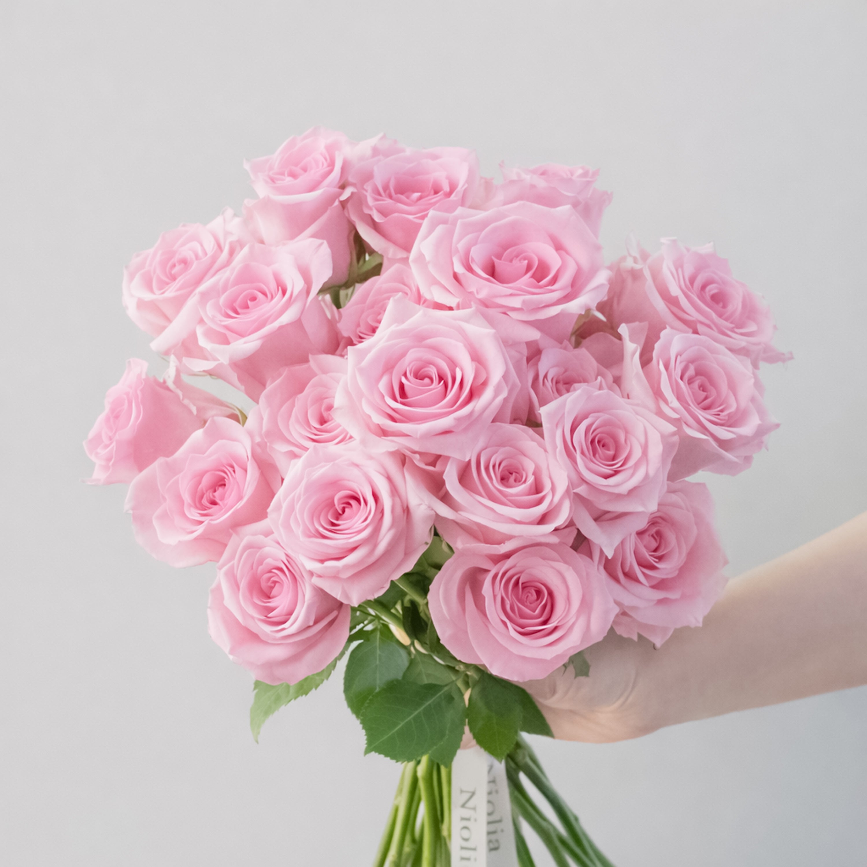 Premium Pink Roses