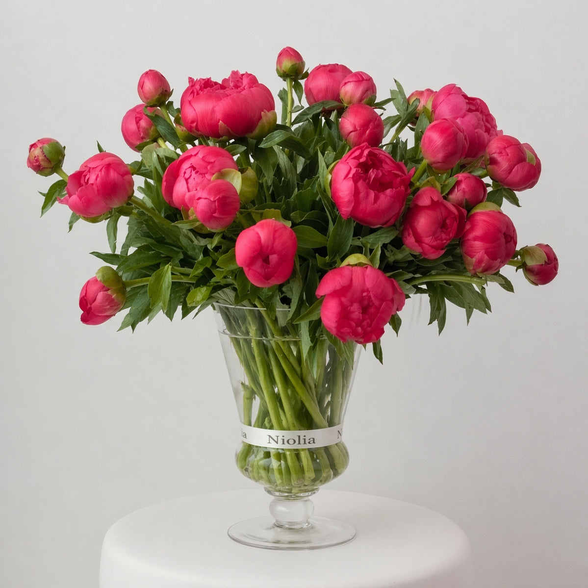 Maison Peonies — Coral Charm