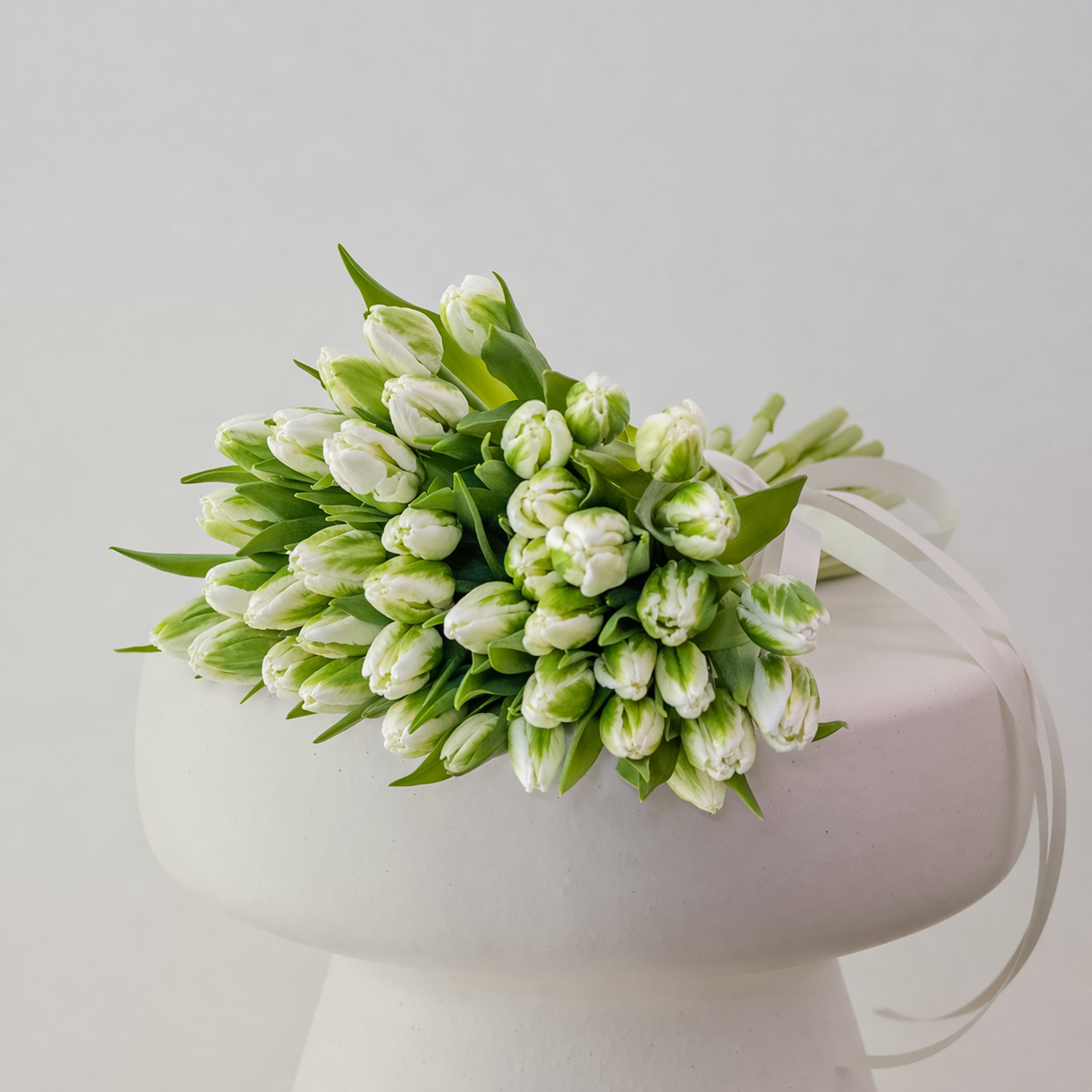 Green Parrot Tulip Bunch | 20–100 Stems