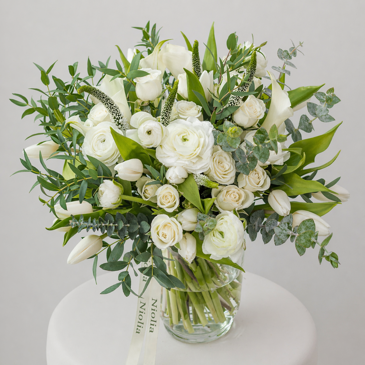 Quiet Morning Garden