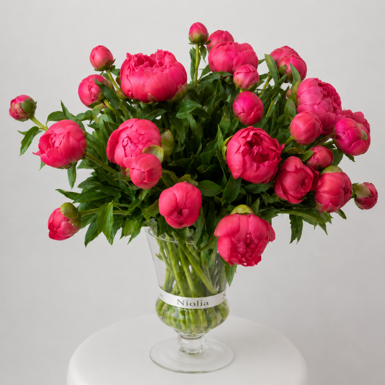 Maison Peonies — Coral Charm