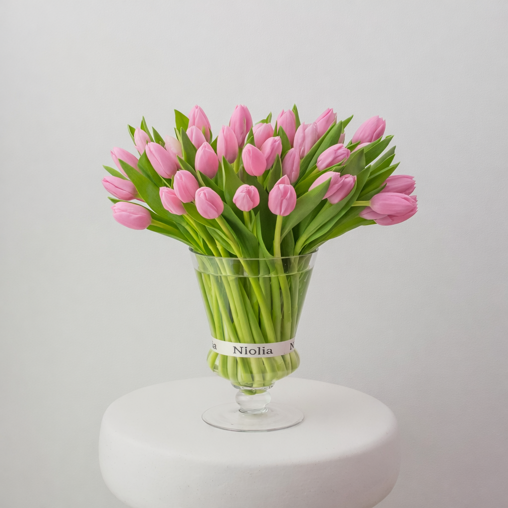 Maison Tulips in Pink