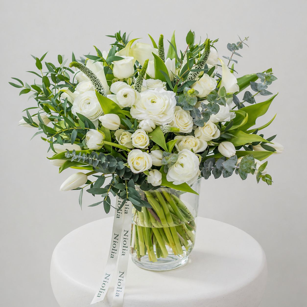 Quiet Morning Garden