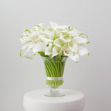 Elegant White Calla Lily Arrangement