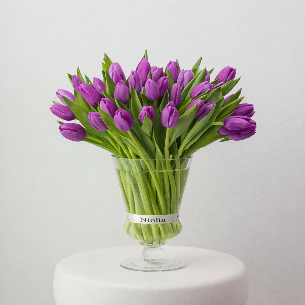 Maison Tulips in Purple