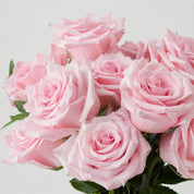 Petite Blush Roses