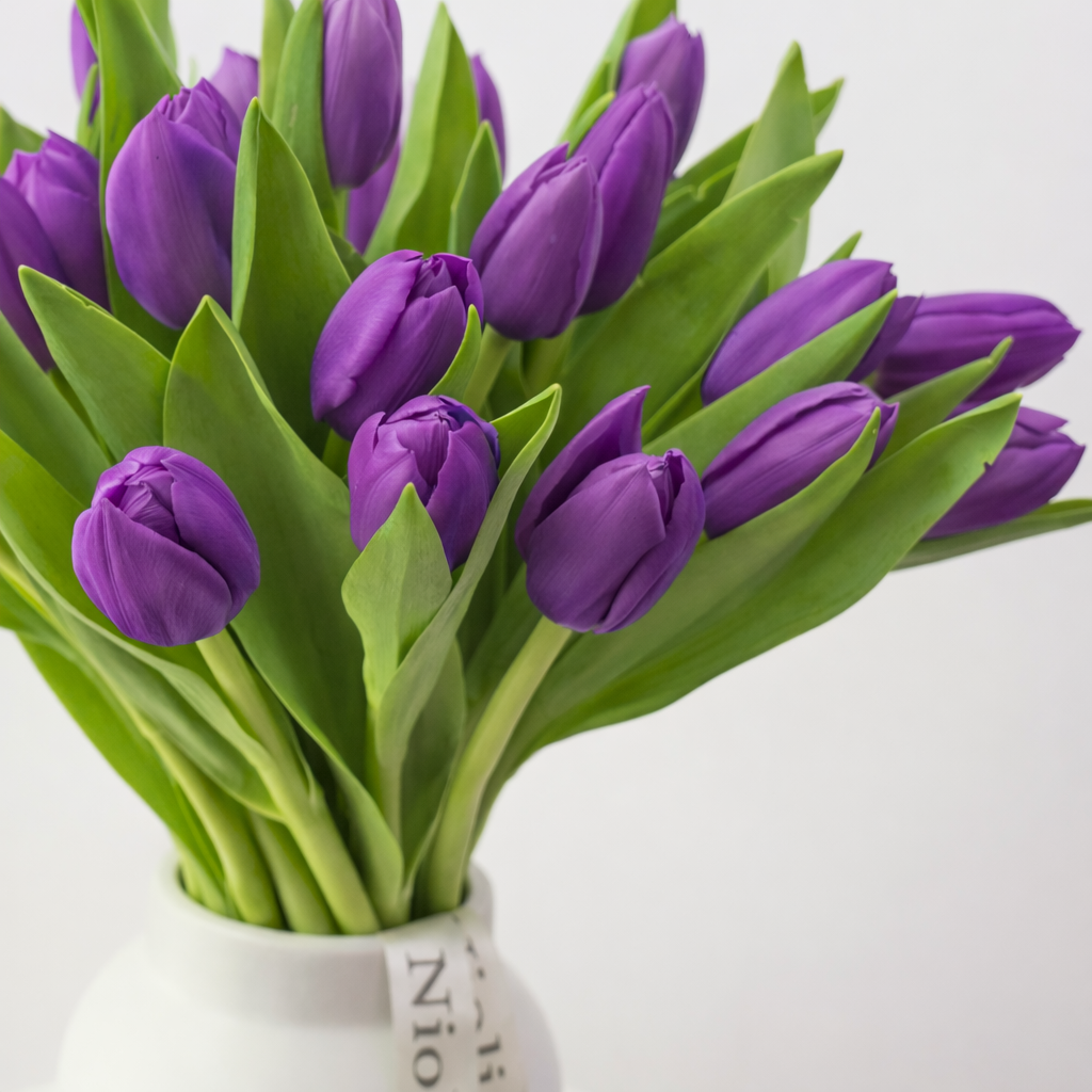 Petite Tulips in Purple