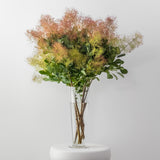 Seasonal Smoke Bush Branches