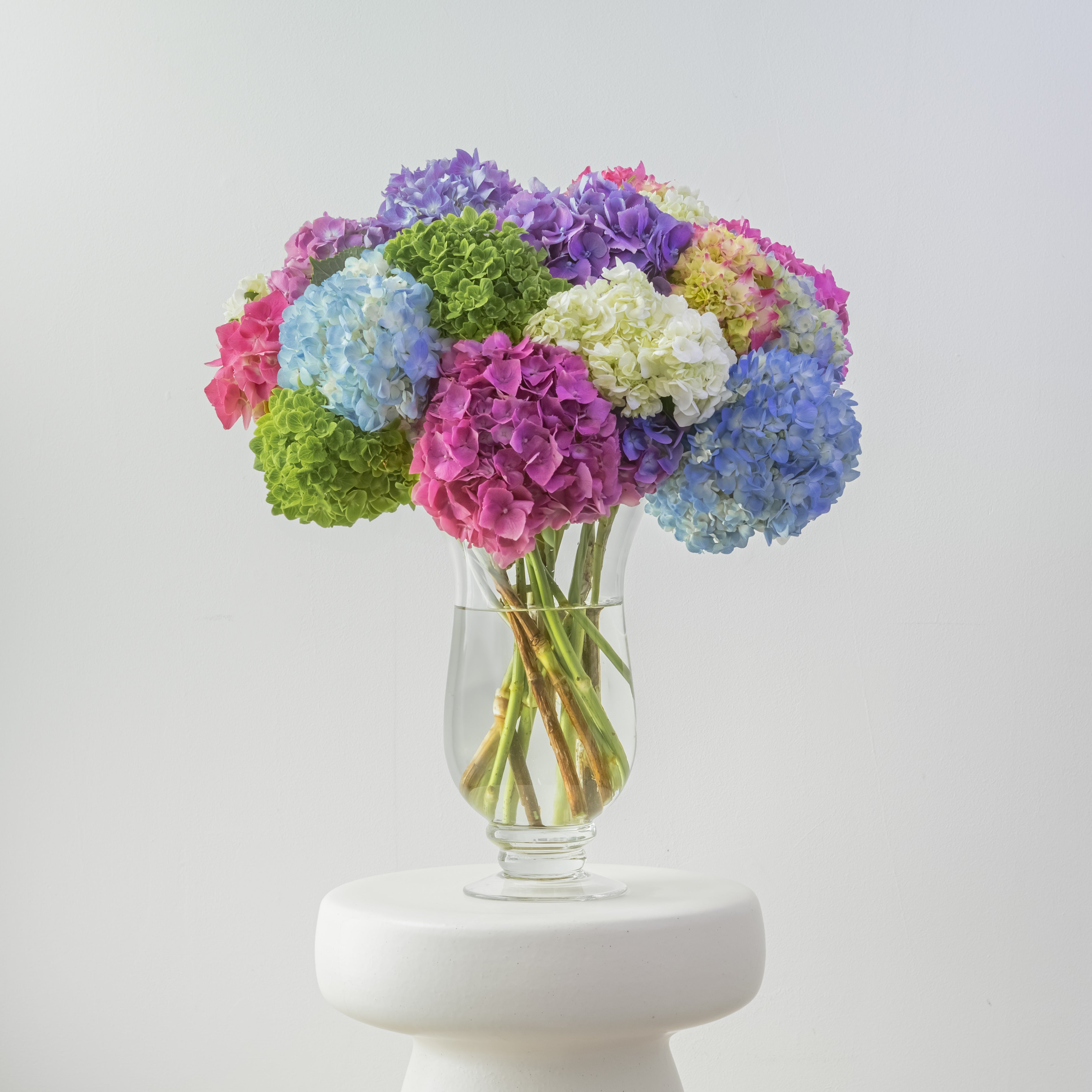 Maison Hydrangea — Confetti