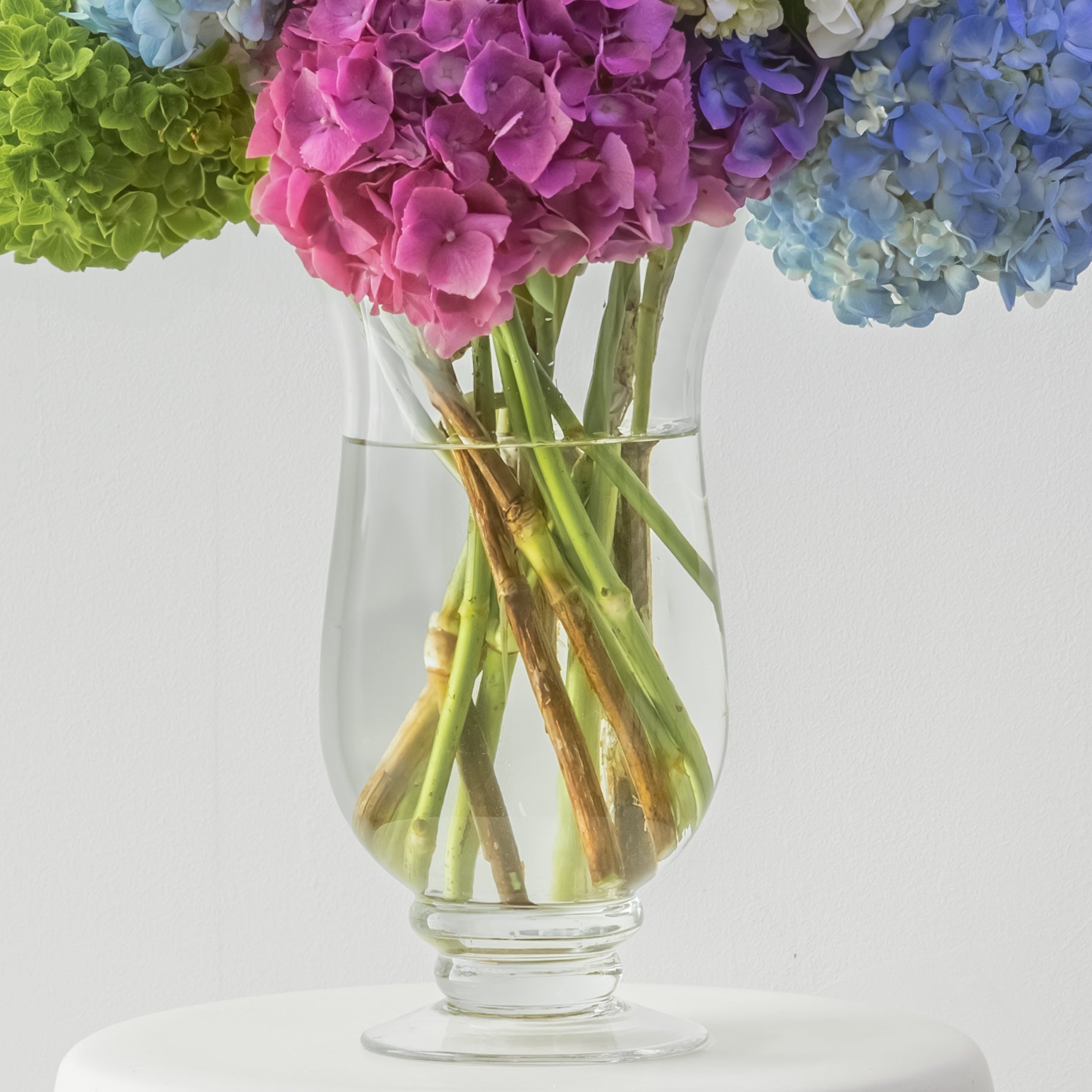 Maison Hydrangea — Confetti