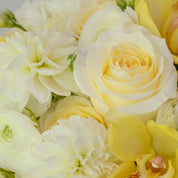 Buttercream