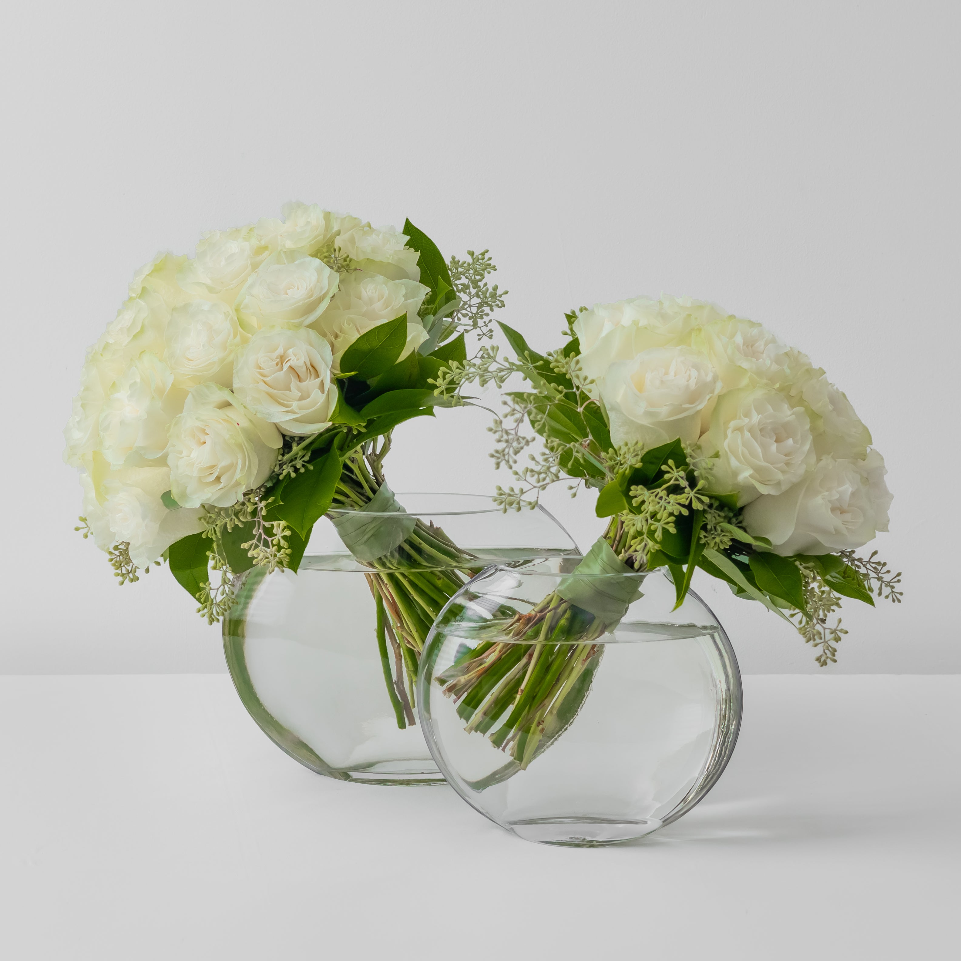 Timeless White
