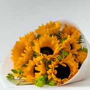 Sunflower Postcard
