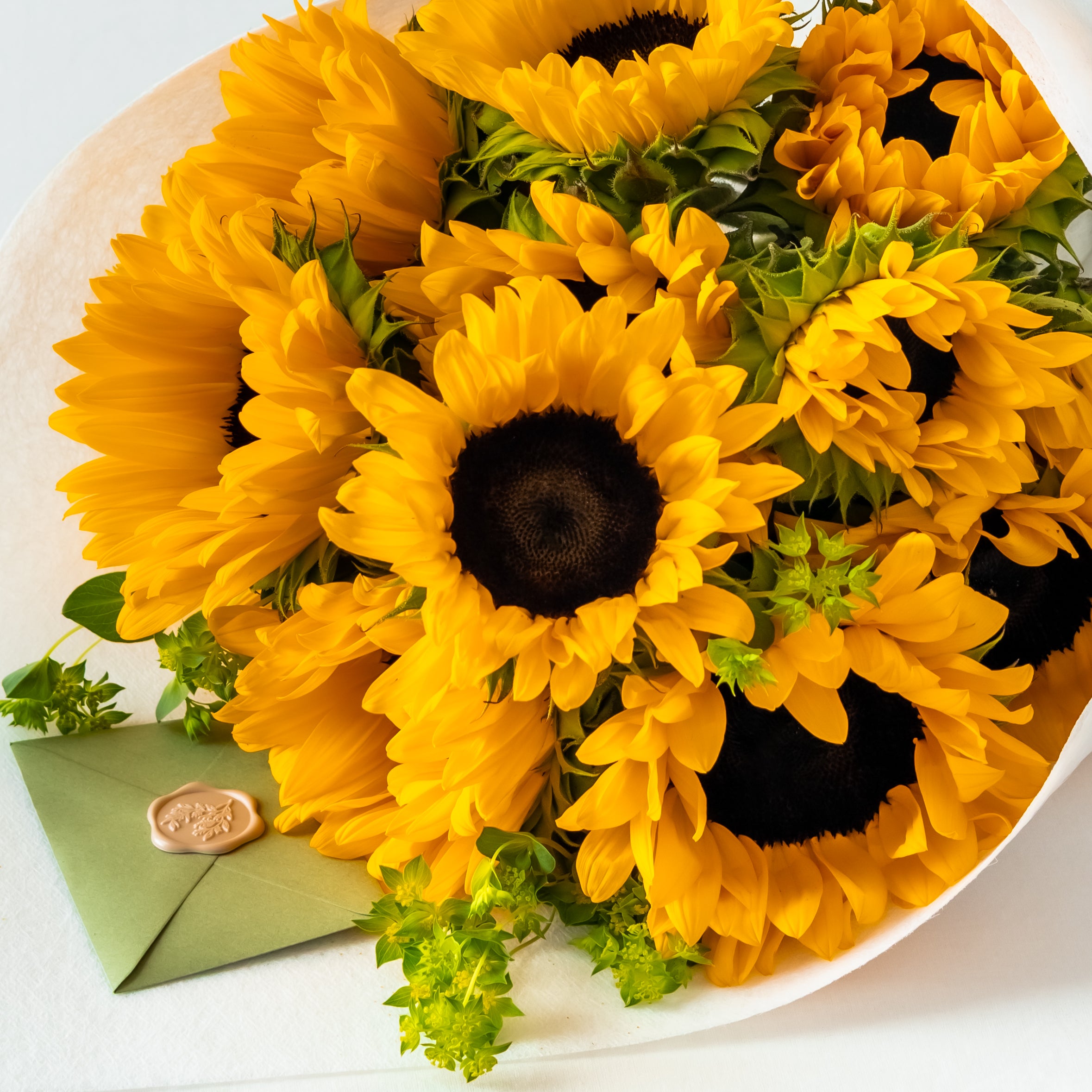 Sunflower Postcard