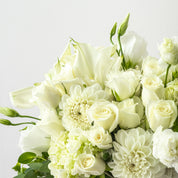 Study In White