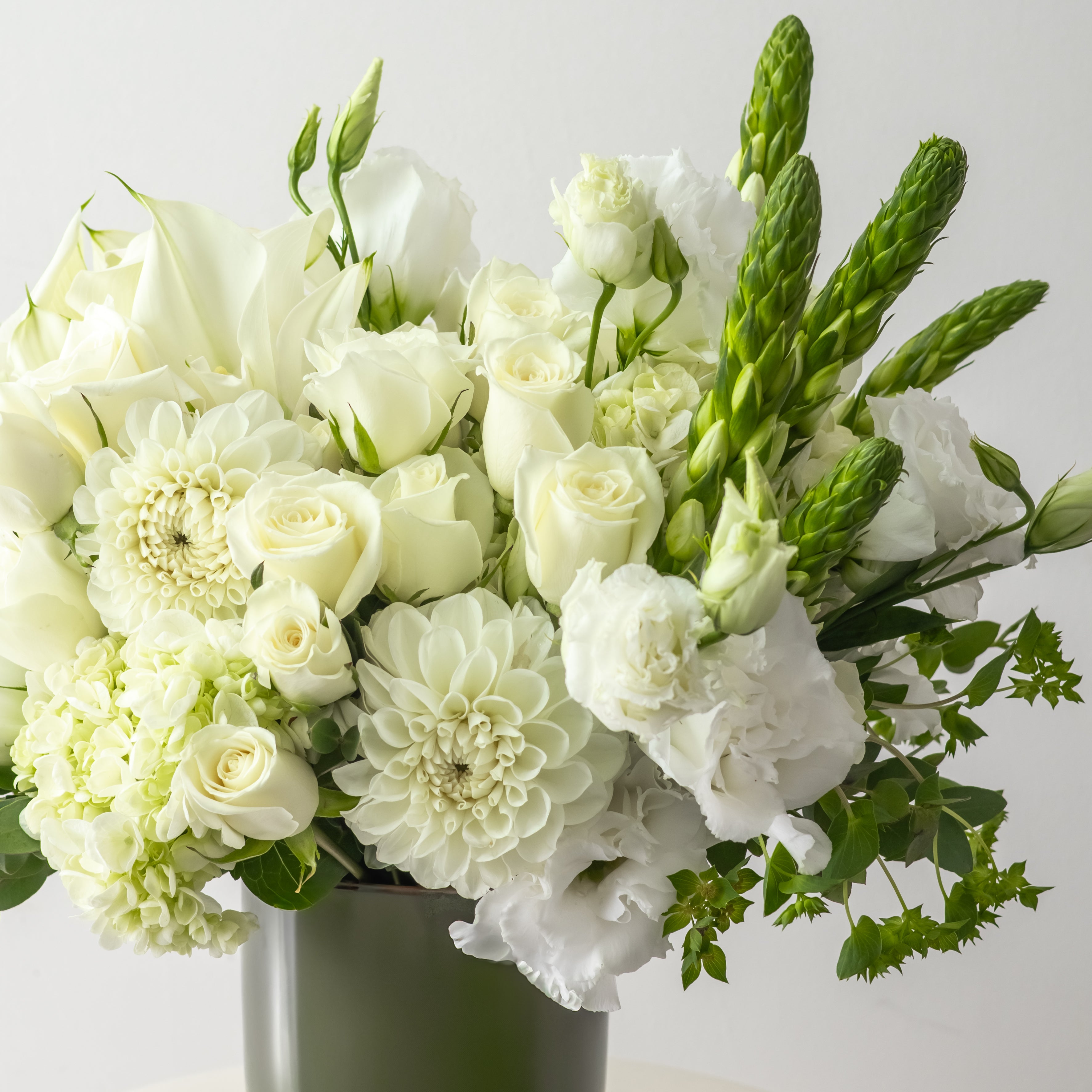 Study In White