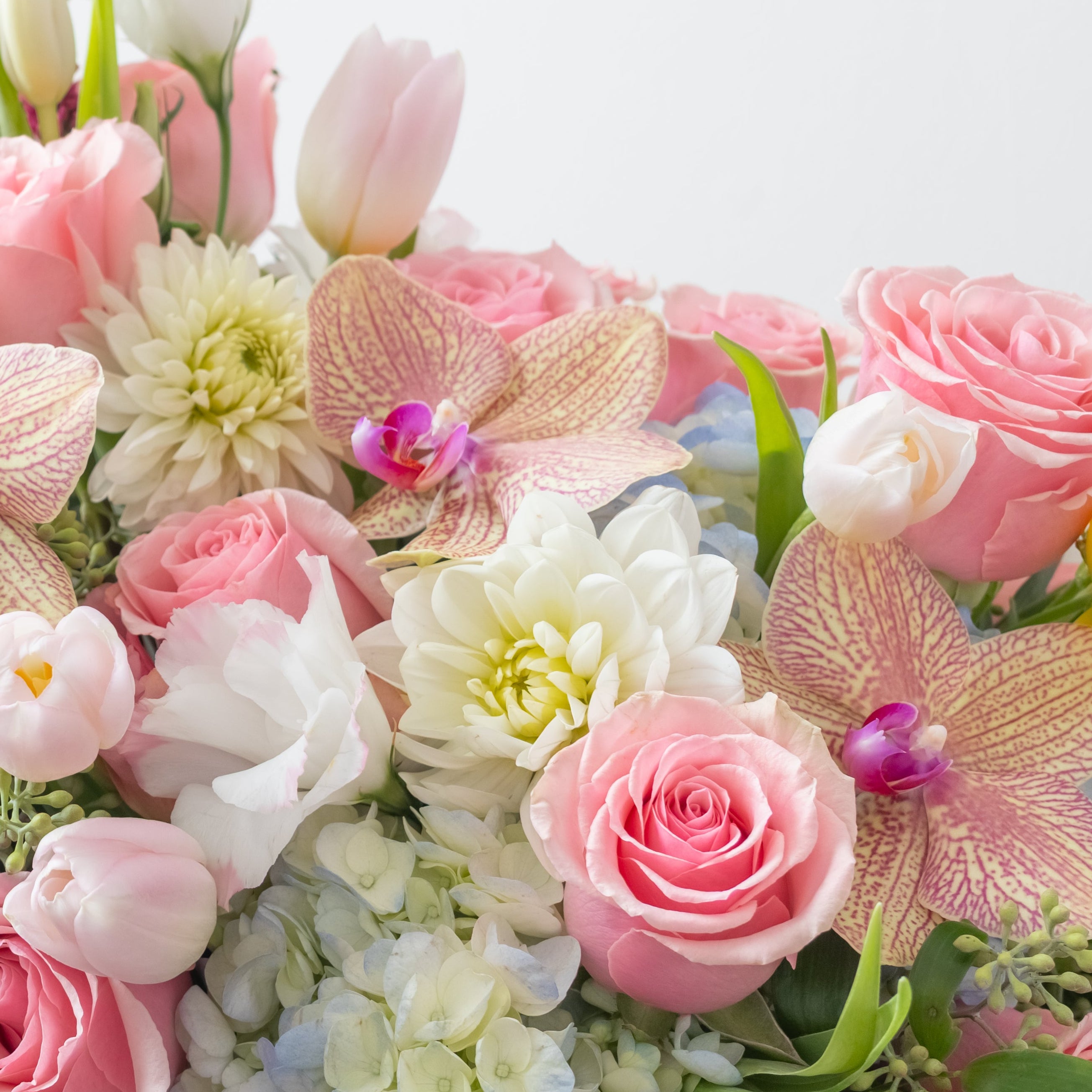 Pastel Garden