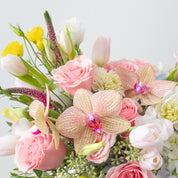 Pastel Garden