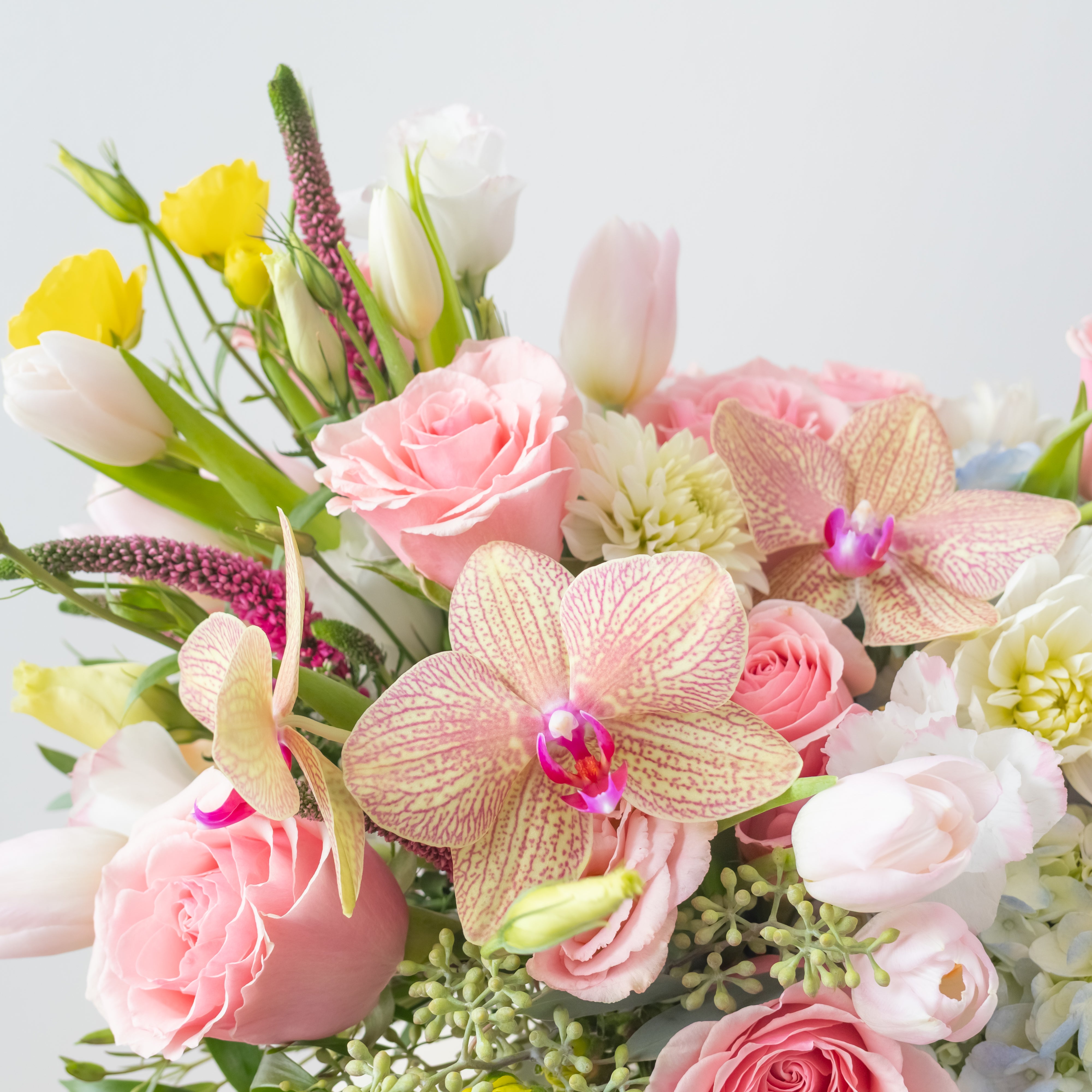 Pastel Garden