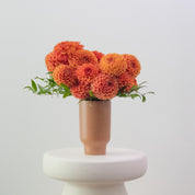 Terracotta Summer
