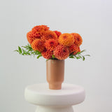Terracotta Summer