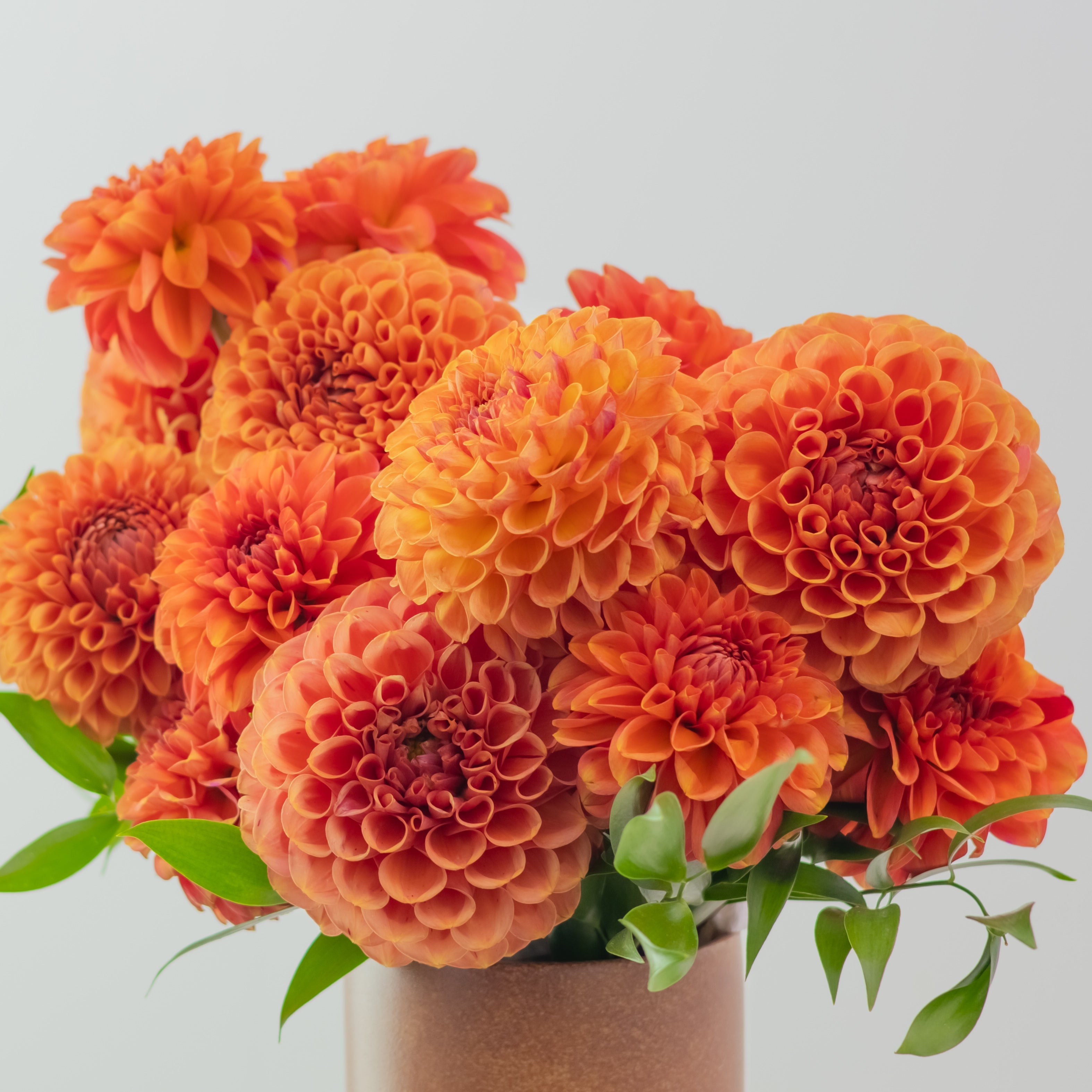 Terracotta Summer