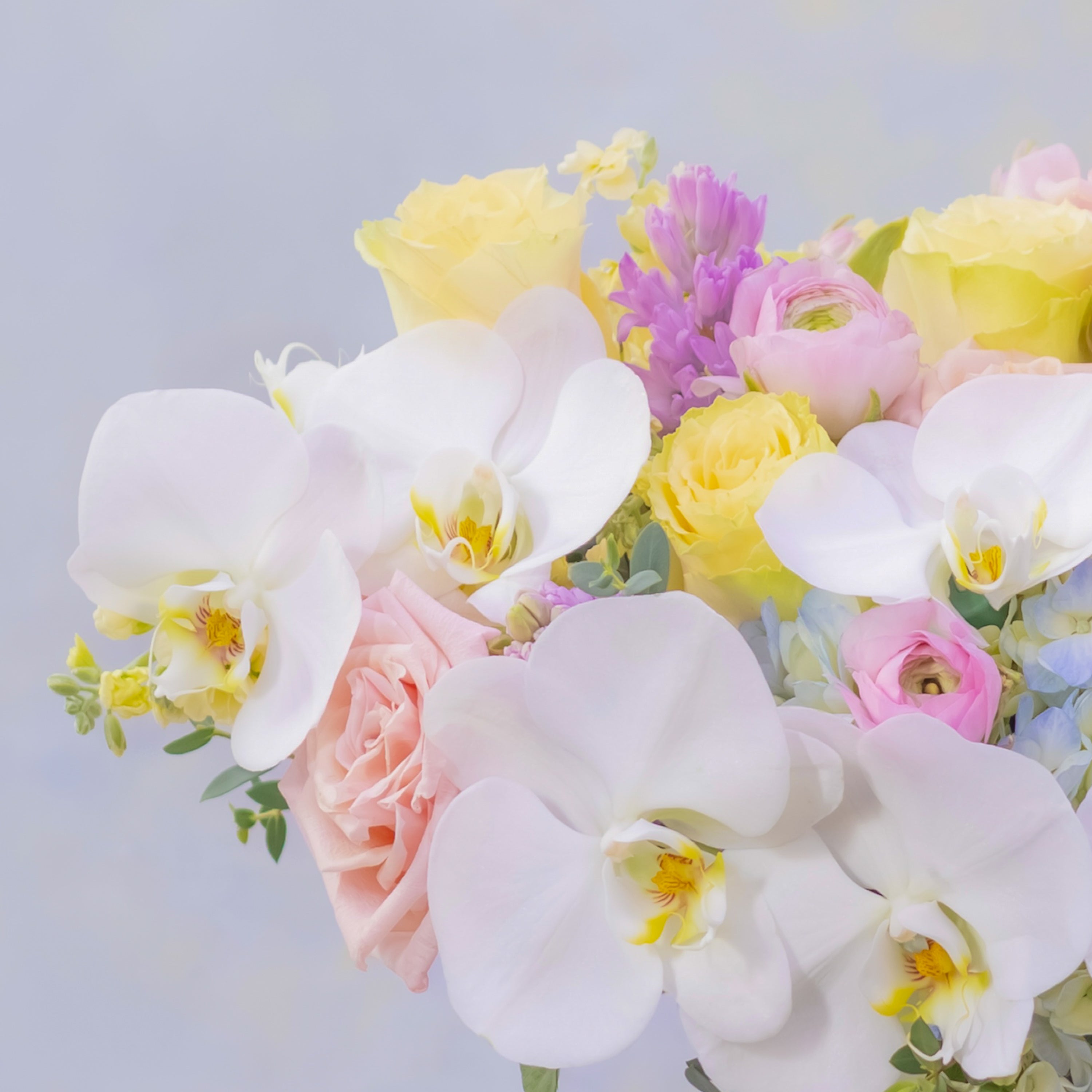 Spring in North Beach