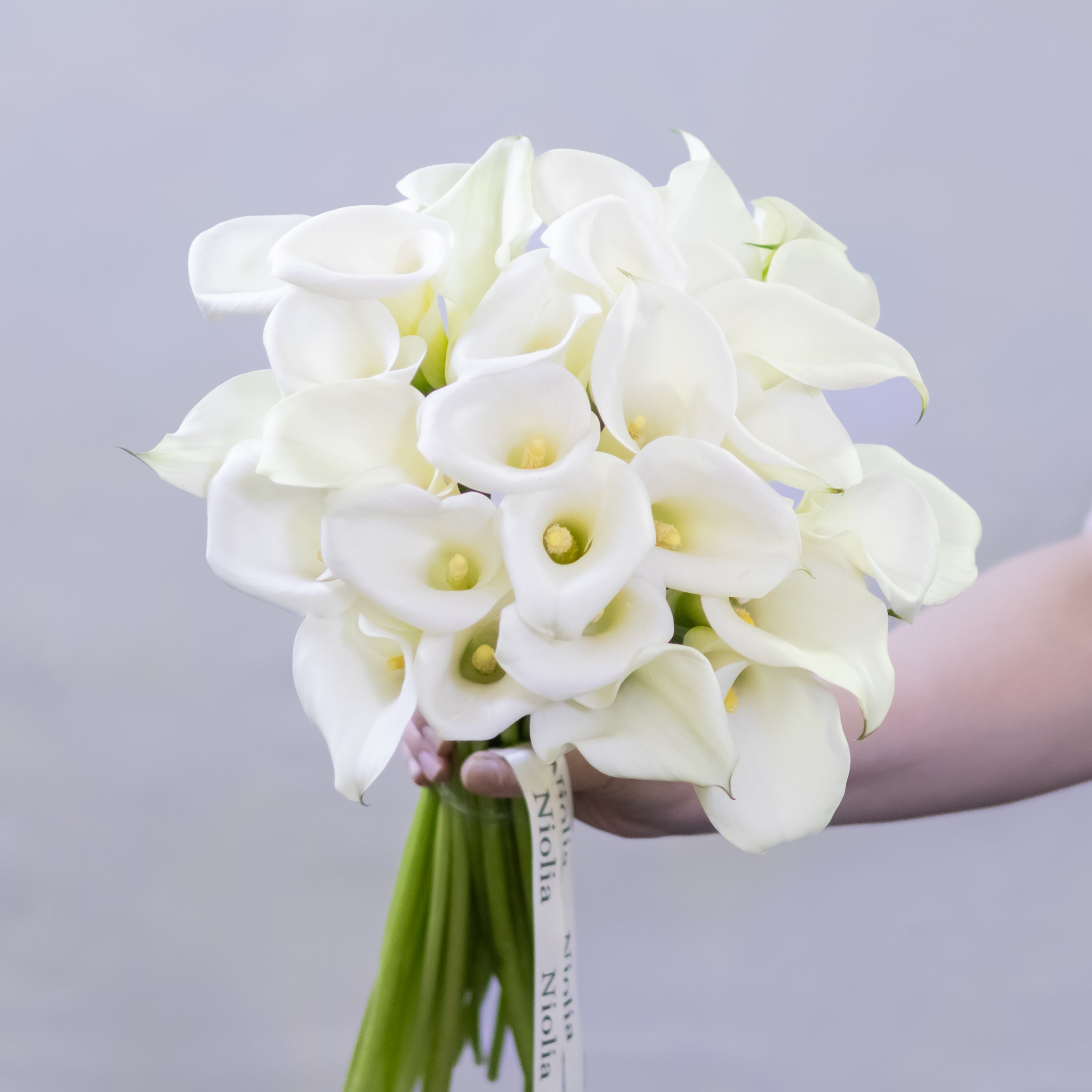 Elegant Calla Lily Bouquet