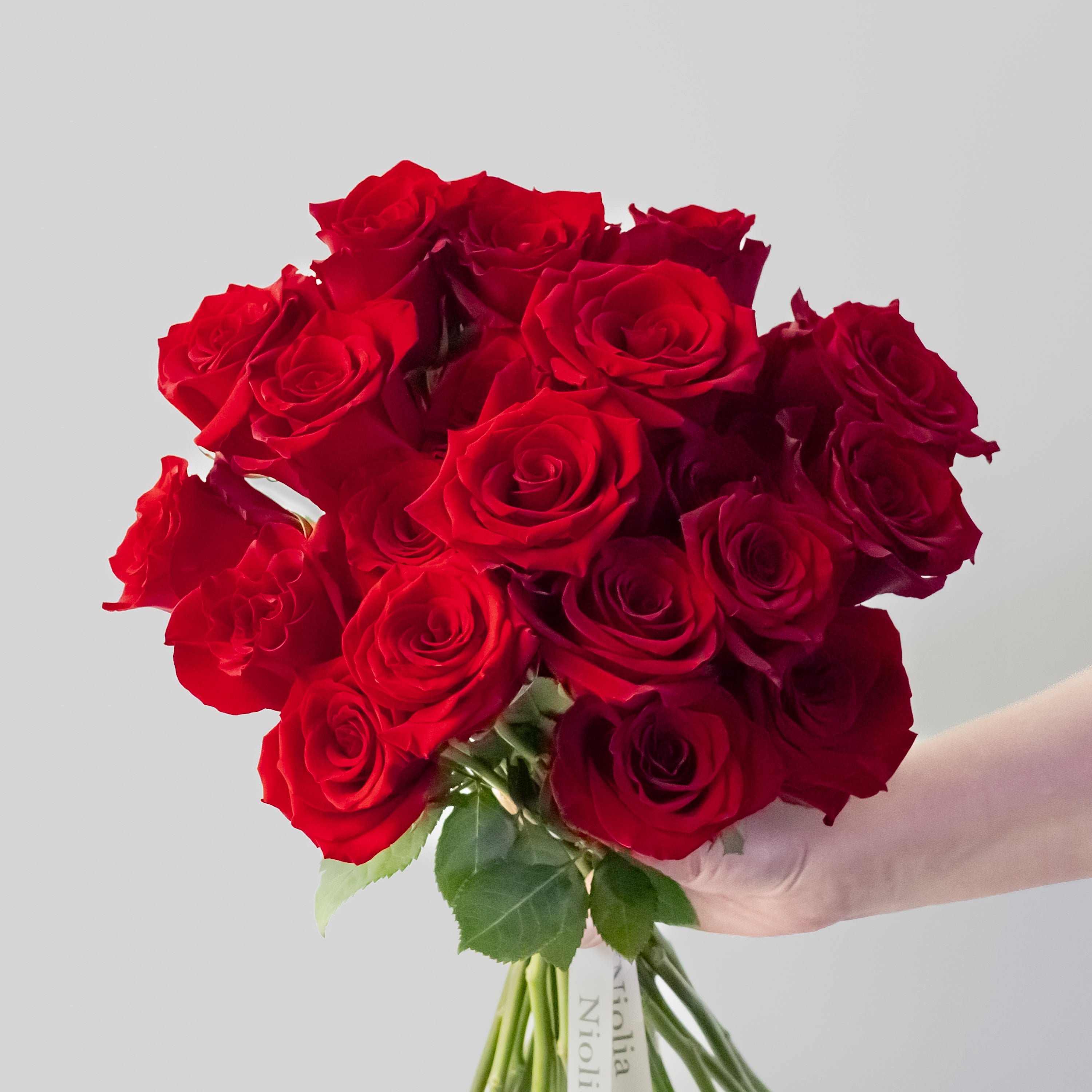 Premium Red Roses