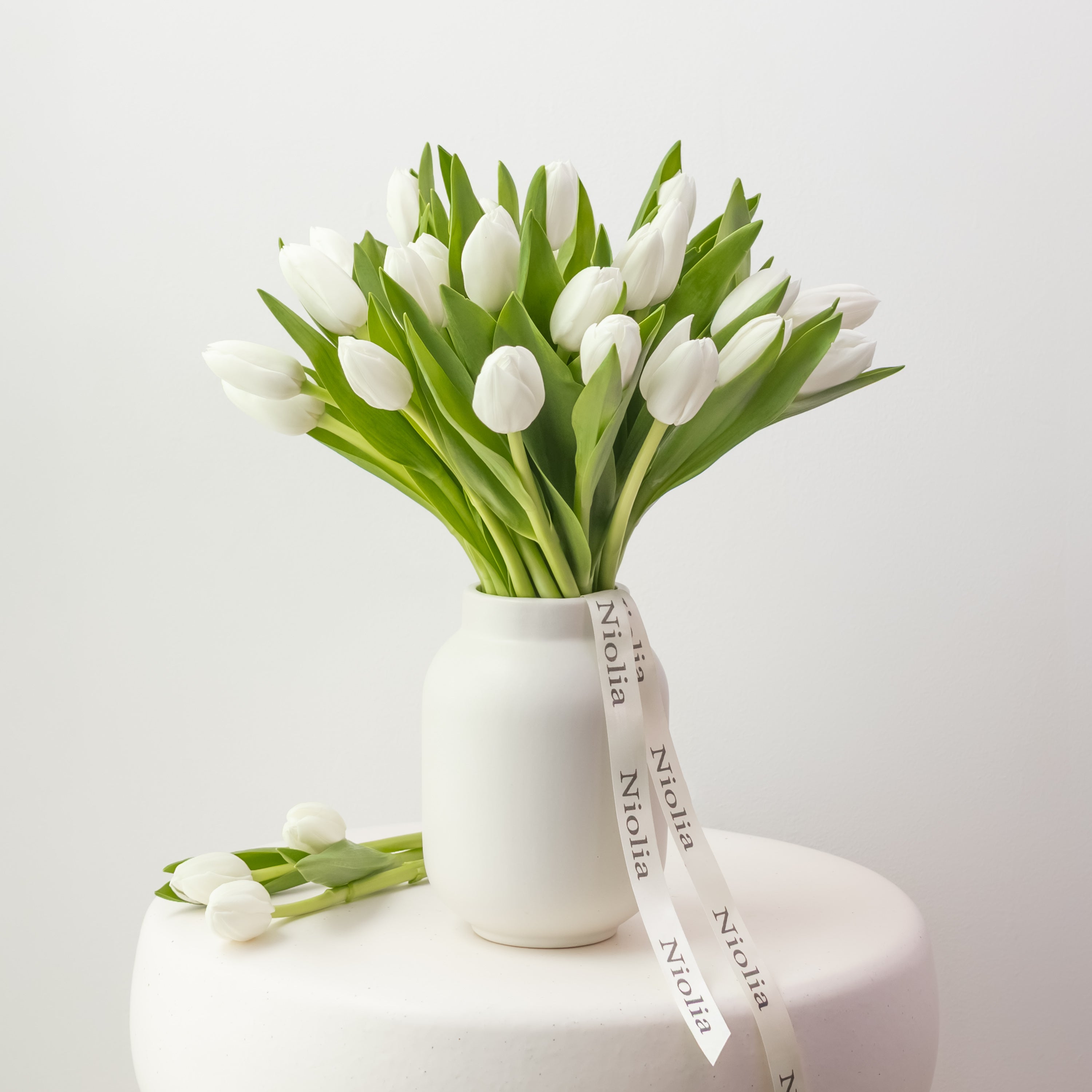 Petite Tulips in White
