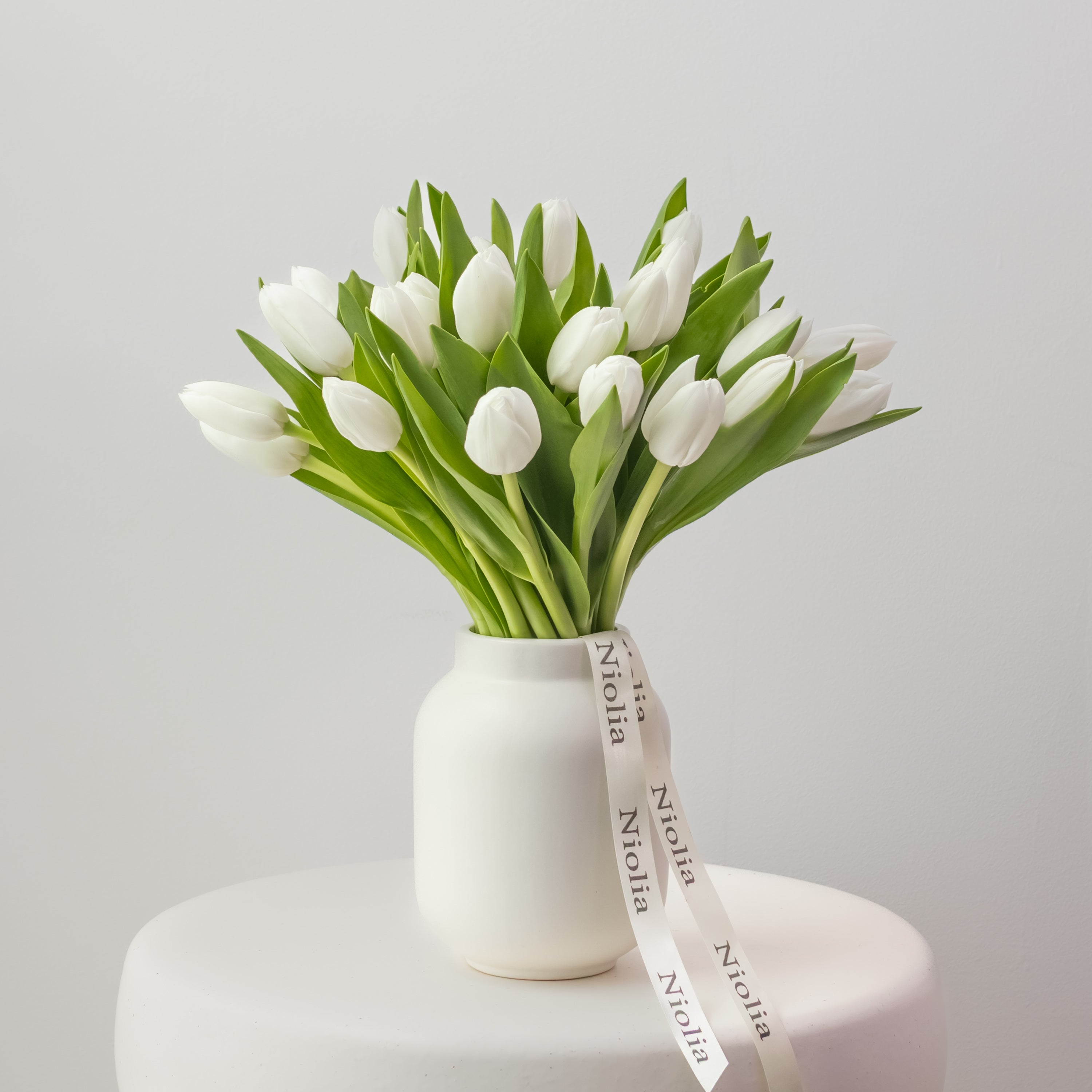 Petite Tulips in White