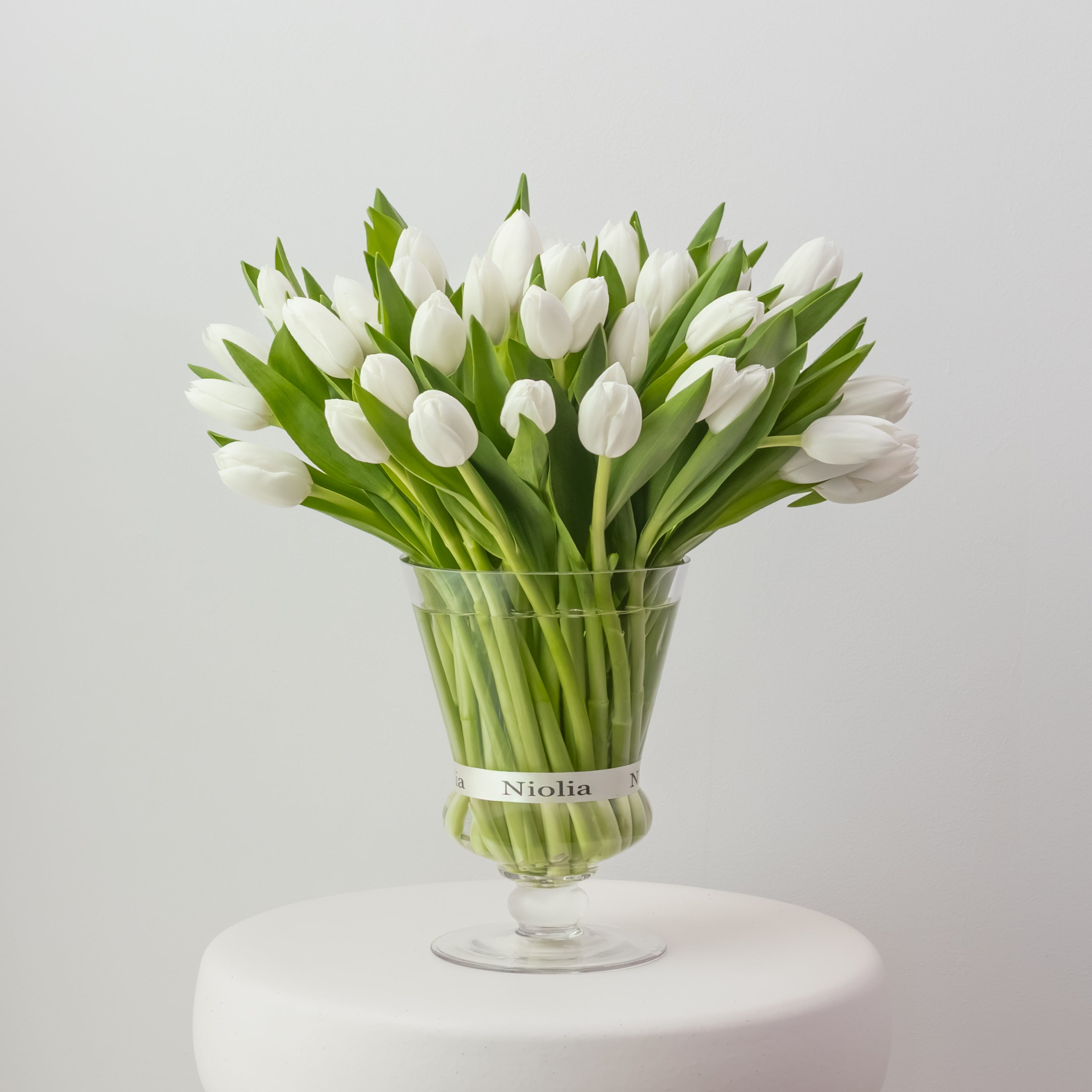 Maison Tulips in White