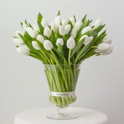 Maison Tulips in White