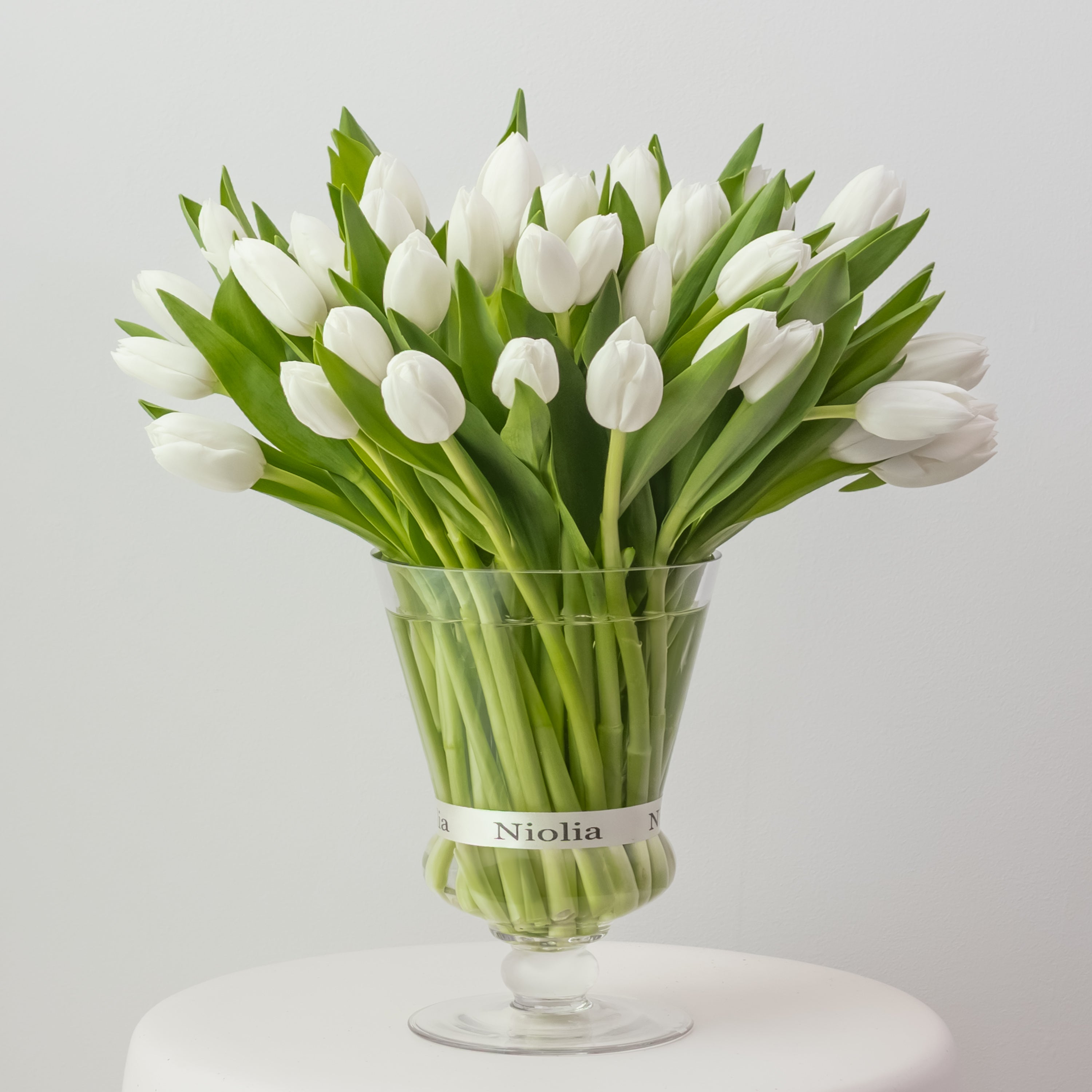 Maison Tulips in White