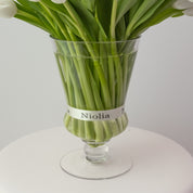 Maison Tulips in White