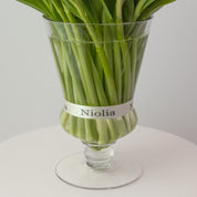 Maison Tulips - Pastel Mix